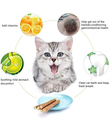30 Catnip Sticks for Cats - Natural Matatabi Silvervine Chew Toys for Dental Health and Teeth Grinding - Catnip Toys for Kittens - Buy Online on GoSupps.com