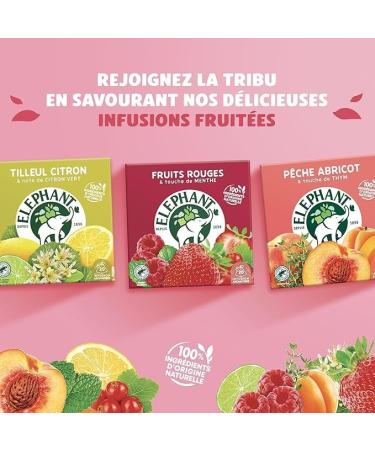 Elephant Infusion Aromatis e Go t Fruits Rouges & Touche de Menthe Certifi Rainforest Alliance Ingr dients d'Origine 100% Naturelle 120 Sachets Pyramid - Buy Online on GoSupps.com
