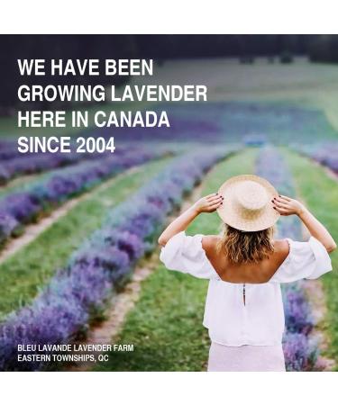 Bleu Lavande Lavender Blue Fabric Softener Concentrated Liquid Softener 950 ml (38 loads) - Buy Online on GoSupps.com