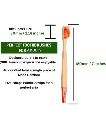 Bamboo Toothbrushes for Adults - BPA-Free Biodegradable Eco-Friendly Family Pack (5 Rainbow Colors) - Plastic-Free Packaging - Buy Online on GoSupps.com