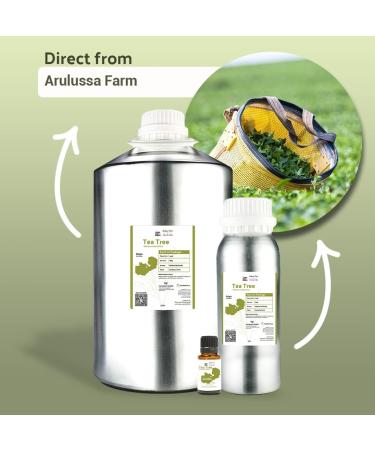 100% Pure Tea Tree Oil - Therapeutic Grade - Direct from Arulussa Farms Zambia - Bulk Essential Oils (15ml - Buy Online on GoSupps.com
