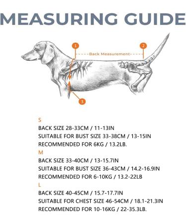 Back Bracer for IVDD in Dogs Dog Back Brace for Dogs Arthritis Spinal Surgical Recovery Herniated Disc Slipped Disc Rehabilitation Adjustable Back Support Back Protector (L) - Buy Online on GoSupps.com