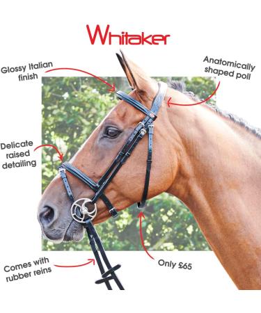 John Whitaker Barton Bridle - Raised Flash Havana Cob | Premium Equestrian Gear for International Shipping - Buy Online on GoSupps.com
