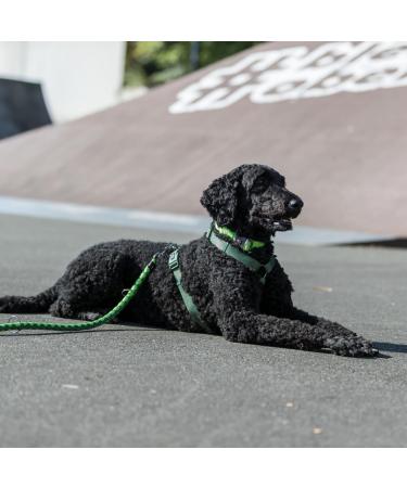 Trixie Dog Leash Cavo - Short Control Leash for Small to Medium Dogs 1m 12mm Forest Green/Apple | Perfect for All Breeds - Buy Online on GoSupps.com