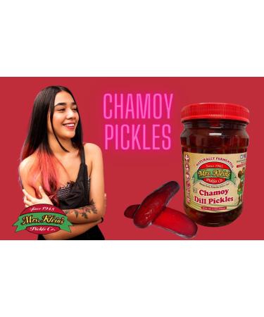 Mrs. Klein's Chamoy Pickles - Mexican Chamoy Red Pickles in a Kit for Sweet & Spicy Flavor - Buy Online on GoSupps.com
