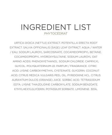 PHYTO Phytoc drat Purifying Treatment Shampoo 8.45 Fl Oz - Best for Scalp Clarity & Shine | International Shipping Available - Buy Online on GoSupps.com