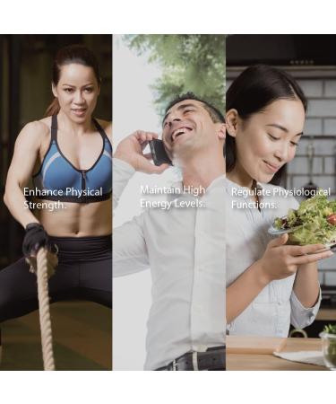 Fecula Biotech Turmeric Curcumin & Postbiotic Supplement 60 Capsules Liver Support Gut Health & Detox Antioxidant Cleansing Formula - Buy Online on GoSupps.com