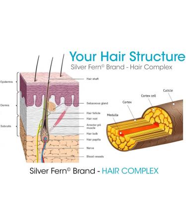 Silver Fern Hair Complex: 60-Day Supply Hair Supplement for Healthy Hair - Buy Online on GoSupps.com