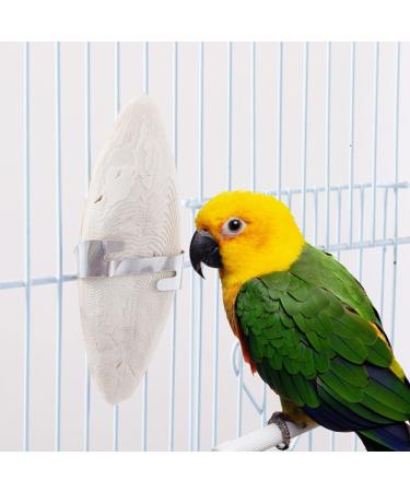 Jmxu's 5 -5.5 Bird Cuttlebone with Metal Holder | 6 Pack Natural Calcium for Parakeets, Parrots, Cockatiels, Budgies | Chewing Cuttlefish Bone for Sharp Beaks - Buy Online on GoSupps.com