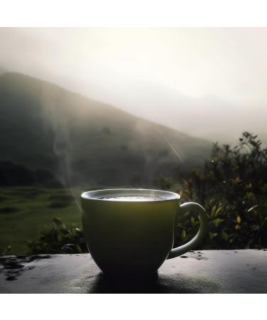 Green Tea China Bancha UniTea Land 100 Gram 100 Gram - Buy Online on GoSupps.com