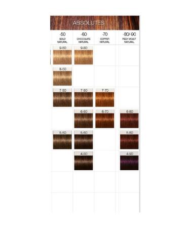 Buy Schwarzkopf Igora Royal Absolutes 6-60 Dark Blonde Chocolate 60ml - Premium Hair Color for International Shipping - Buy Online on GoSupps.com