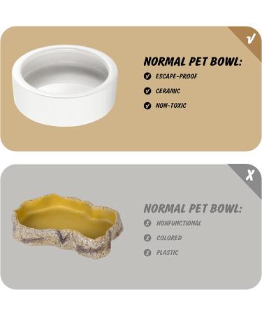 Small Ceramic Reptile Food Dish Bowl & Water Dish Set - 2 Pack | Ideal for Lizards, Geckos, Bearded Dragons, Chameleons, Hermit Crabs | Anti-Escape Design for Mealworms, Crickets, Superworms | 2.75in White - Buy Online on GoSupps.com