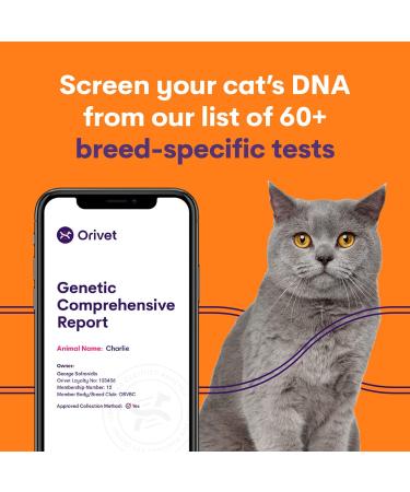 ORIVET Cat Breed DNA Test - 1 Pack | Comprehensive Genetic Health Screening & LifePlan | At Home Cheek Swab | Accurate & Fast Results - Buy Online on GoSupps.com