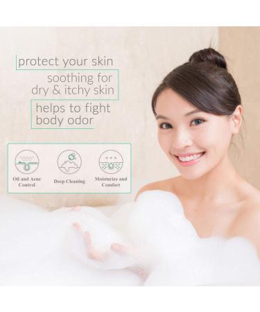 Natural Riches Tea Tree Body Wash - Itchy Skin Relief - Peppermint, Eucalyptus & Tea Tree Oil - Men & Women 2x16 fl oz - Buy Online on GoSupps.com