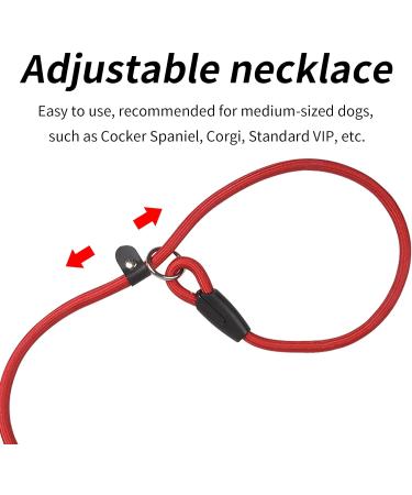 Avodova 2-Piece Adjustable Dog Leash Set | 1.3m Braided Nylon Leash for Small & Medium Dogs | Durable Training Tow Lines - Buy Online on GoSupps.com