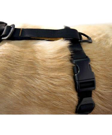 Kurgo Tru-Fit Smart Dog Harness XS - Padded Chest Panel D-Ring & Car Seat Belt - Black | International Shipping Available - Buy Online on GoSupps.com