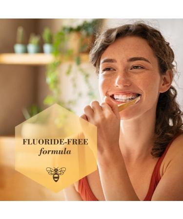 Burt's Bees Toothpaste Fluoride Free Charcoal Zen Peppermint 210 Milliliters Total (Pack of 2) Charcoal Toothpaste (Pack of 2) - Buy Online on GoSupps.com