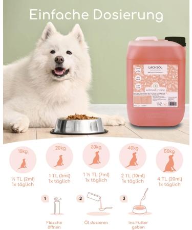 Premium Norwegian Salmon Oil for Dogs & Horses - Omega 3 & 6 - 5L Natural Supplement - Buy Online on GoSupps.com