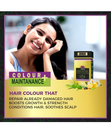 Indus Valley Organic Hair Color Dark Brown - Vegan Ecocert USDA Certified 20% Grey Coverage Hair Conditioning Spa - 100g+10ml - Buy Online on GoSupps.com