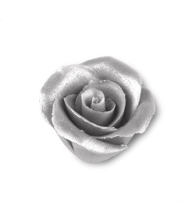 G nthart BackDecor Silver Powder 7g - Edible Glitter Dust for Baking & Cake Decoration - Shiny Silver Mica Dust - Buy Online on GoSupps.com