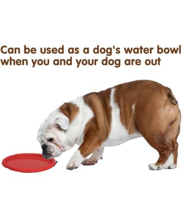 Vivifying Dog Flying Disc 2 Pack 7 Inch Natural Rubber Floating Flying Saucer for Both Land and Water (Green + Red) - Buy Online on GoSupps.com