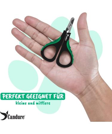 Buy Candure Cats Nail Clippers | Specialist Claw Care for Cats Dogs & Small Pets | Rust-Free Steel & Sharp Blades | Dark Green XS - Buy Online on GoSupps.com