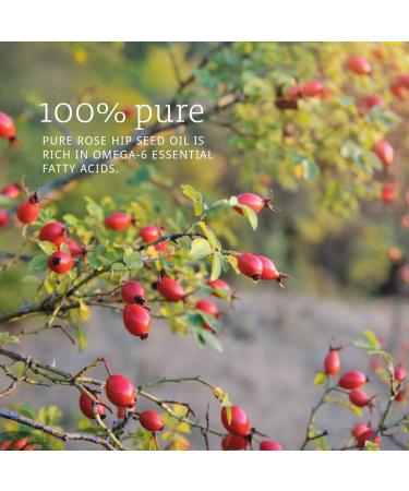 Now Foods Certified Organic Rose Hip Seed Oil 1 oz - 100% Pure, Natural Skincare - Buy Online on GoSupps.com