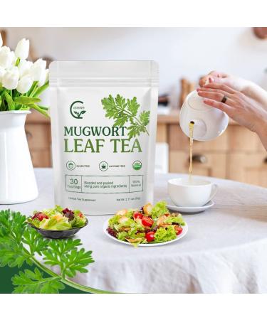 Organic Mugwort Tea Bags - Improve Sleep and Digestion - Caffeine Free - 30 Count - Buy Online on GoSupps.com