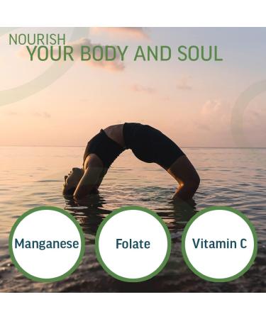 Nourisharvest Australian Broccoli Vegetable Powder - Vitamin C & A Rich Nutrient-Boosted Food Enhancer for Smoothies Sauces & Bakes - 100% Pure No Added Sugar/Salt Fiber Fortified - Buy Online on GoSupps.com