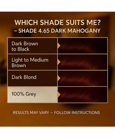 BIONDA Professional Permanent Hair Coloring Color Cream 426 Dark Mahogany 200ml Double pack Keratin & Moringa Care Longlasting intensive color with shine 100 gray hair coverage - Buy Online on GoSupps.com