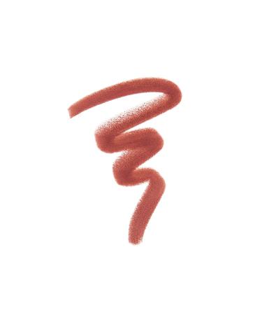 Anastasia Beverly Hills Lip Liner in Raisin - Define and enhance your lips - Buy Online on GoSupps.com
