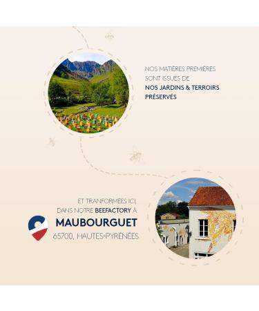 Ballot-Flurin Pyrenees Bal Health Tree - Premium Natural Remedies for Wellness | Shop Internationally - Buy Online on GoSupps.com