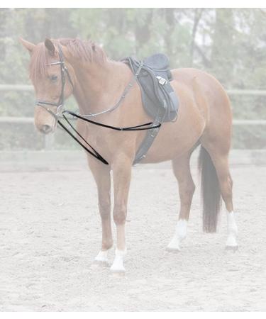 WALDHAUSEN Star Triangle Reins - One-Piece Black | Premium Equestrian Gear for International Shipping - Buy Online on GoSupps.com