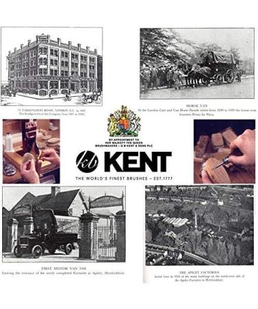 Kent Shaving Stand Small Mock Ivory - Buy Online on GoSupps.com