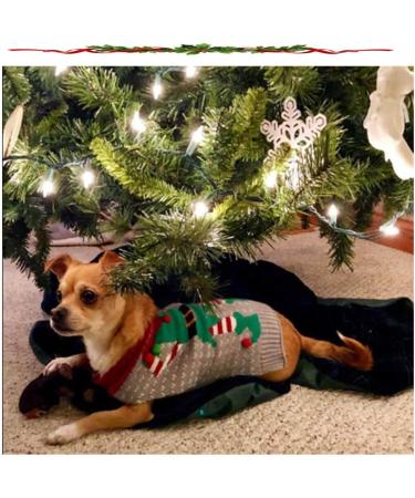 Shop Abrrlo XS Clown Dog Costume & Cotton Sweater | Perfect Winter Coat for Christmas - Stylish Pet Fashion - Buy Online on GoSupps.com