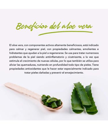 Buy Tabaibaloe Aloe Vera Face & Body Cream 50ml - Hydrating Skincare for All Skin Types | International Shipping - Buy Online on GoSupps.com