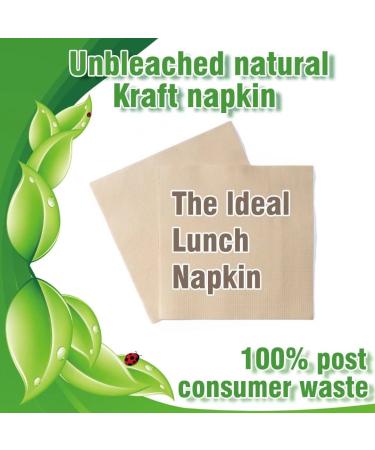 50 PCS Recycled Post-Consumer Compostable Eco Lunch Napkins - Disposable Dinner Napkin - Buy Online on GoSupps.com