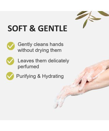 Cucina Fruits & Passion Lime Zest and Cypress Hand Soap Set 6.7 fl oz Glass Bottle and 33.8 fl oz Refill Made in Canada - Buy Online on GoSupps.com