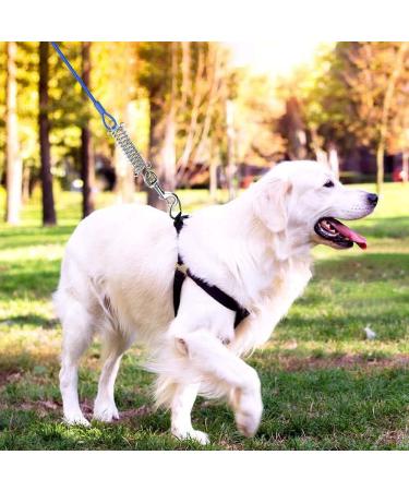 Buy Hofleine 3m/5m Dog Leash - Shock-Damping Cable Leash for Medium & Large Dogs | Ideal for Camping Garden Running & Park - Free Blue Color - Buy Online on GoSupps.com