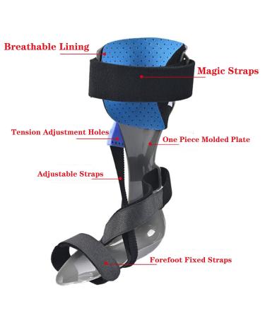 Buy SFKLYU Foot Drop Brace Splint - Ankle Support for Flat Feet Stroke Recovery & Postoperative Care | Removable Bandage | Left & Right Fit - Buy Online on GoSupps.com