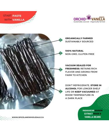 Madagascar Extract Grade-B Bourbon Vanilla Beans For Extract Making By Count (100 Beans (Pack of 1)) - Buy Online on GoSupps.com