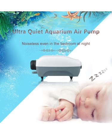 Hitop Dual Outlet Aquarium Air Pump - Whisper Quiet Oxygen Pump for 20-100 Gallon Fish Tanks - Buy Online on GoSupps.com