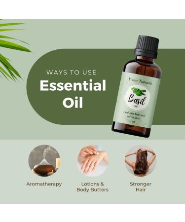 100% Pure Basil Essential Oil for Alertness - 1 oz Therapeutic Grade Aromatherapy Oil - Buy Online on GoSupps.com
