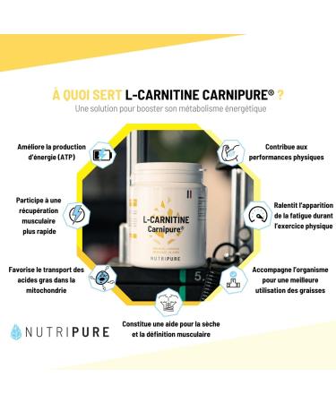 Nutripure | L-Carnitine CARNIPURE | Pre Workout Dietary Supplement | Optimizes Energy Metabolism and Recovery | Based on Pure L-Carnitine | 120 Capsules | 1 Month | Made in France - Buy Online on GoSupps.com