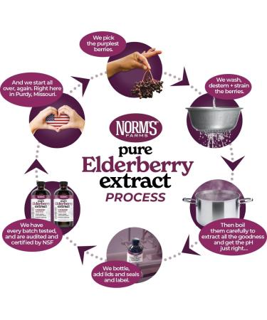 Norm's Farms Elderberry Extract & BeeWellness Syrup w/Pure Honey Bundle 2PK - Immune Support Elderberry Syrup for Kids & Adults - Made in USA Natural Ingredients Vegan Gluten-Free Non GMO (8 Oz) Elderberry Extract + Bee  - Buy Online on GoSupps.com