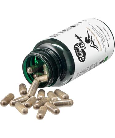 Golden Mountains Chaga Mushroom Supplements Shilajit Capsules 90 Count Natural Vegetarian Mushroom Capsules with Shilajit Chaga Powder Pure and Safe Mushroom Blend Promotes Energy Focus - Buy Online on GoSupps.com