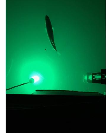 Green LED Underwater Fishing Light - 15,000 Lumen, Waterproof, 30ft Cord - Submersible Dock Light for Bright Night Fishing - Buy Online on GoSupps.com