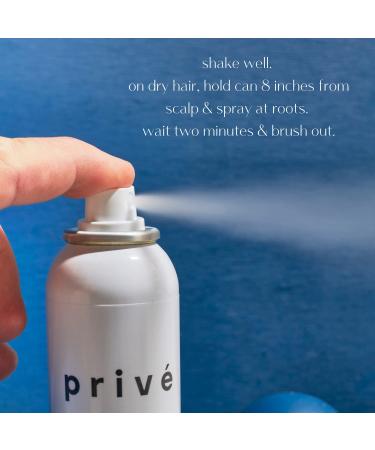 Priv Finishing Texture Spray for Hair Texturizing Spray Extreme Texture Builder That Leaves a Flexible Touchable Finish (3.05 oz) 3.05 Fl Oz (Pack of 1) - Buy Online on GoSupps.com