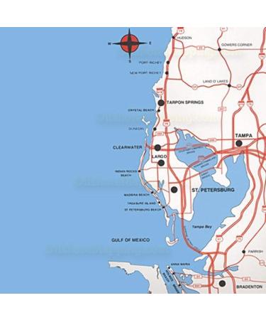 Topspot Map N202 Tampa Bay Area Fishing and Recreation Map - Port Richey to Venice | Best Guide for Outdoor Enthusiasts - Buy Online on GoSupps.com