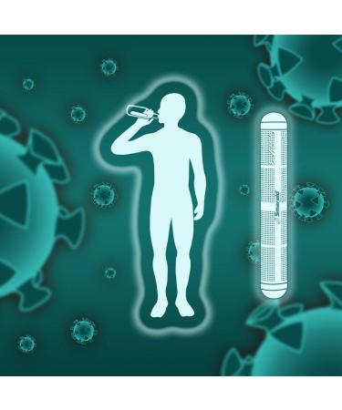 Smarald Anti-aging filter stick for your drinking water powerful antioxidant for up to 800 liters of ionized alkaline active water - Buy Online on GoSupps.com